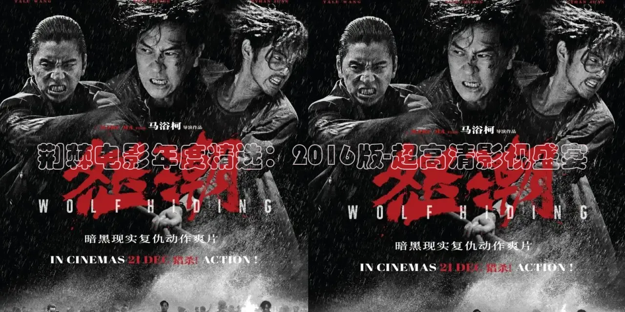 荆棘电影年度精选：2016版-超高清影视盛宴